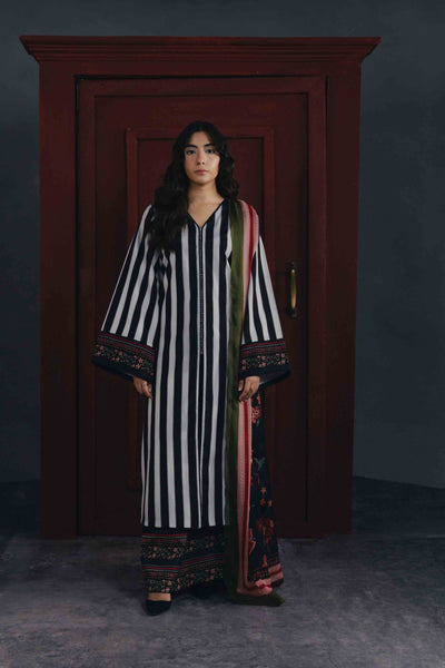 Pakistani 2 Piece Suit