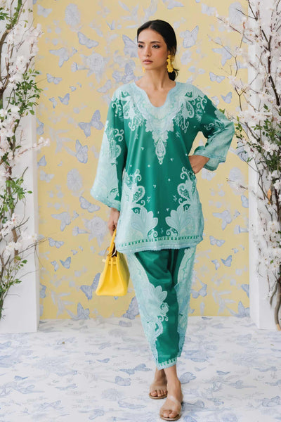 Pakistani Coord Set