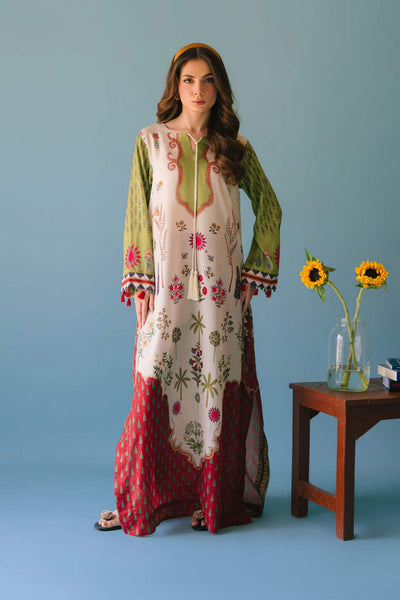 Pakistani Designer Kaftan