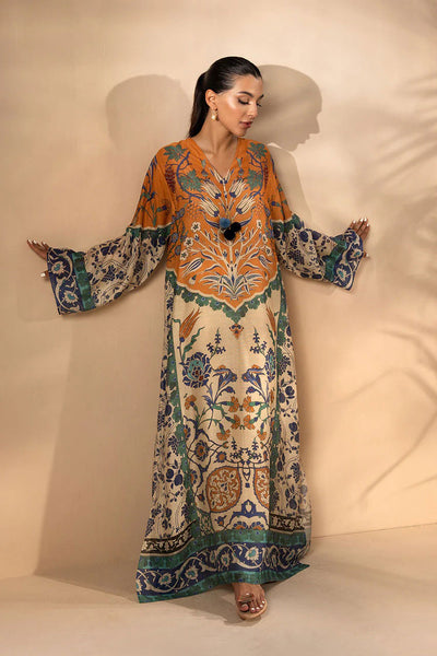 Pakistani Kaftan Dress