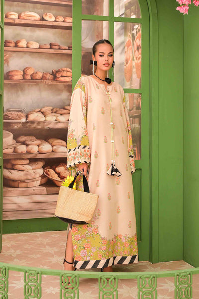 Pakistani Kaftan Dress